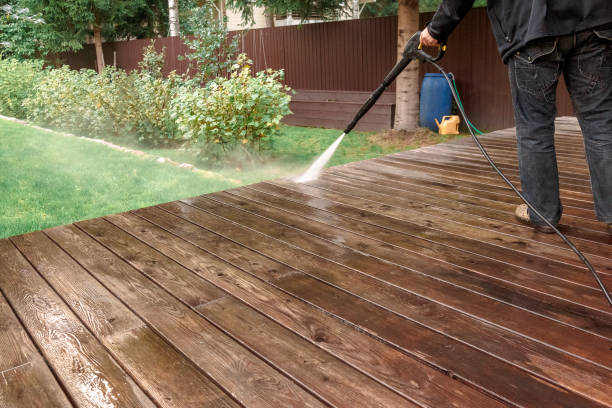 Best Solar Panel Cleaning  in Willow Grove, TX